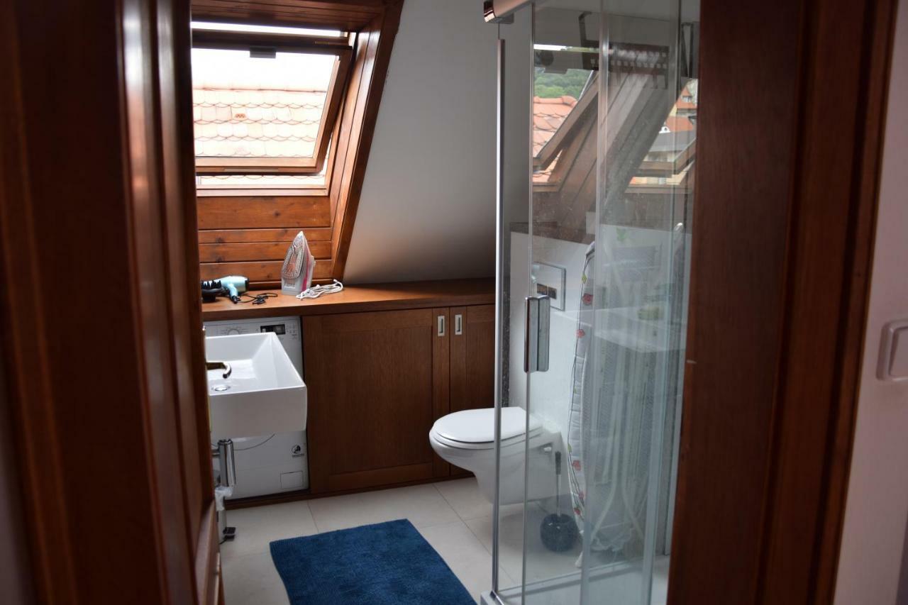 Apartman Mala Strana -Piece And Quiet プラハ エクステリア 写真